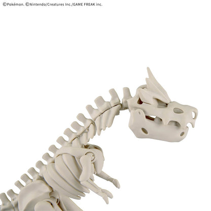 寶可夢模型收藏 化石寶可夢系列 恰吉羅斯