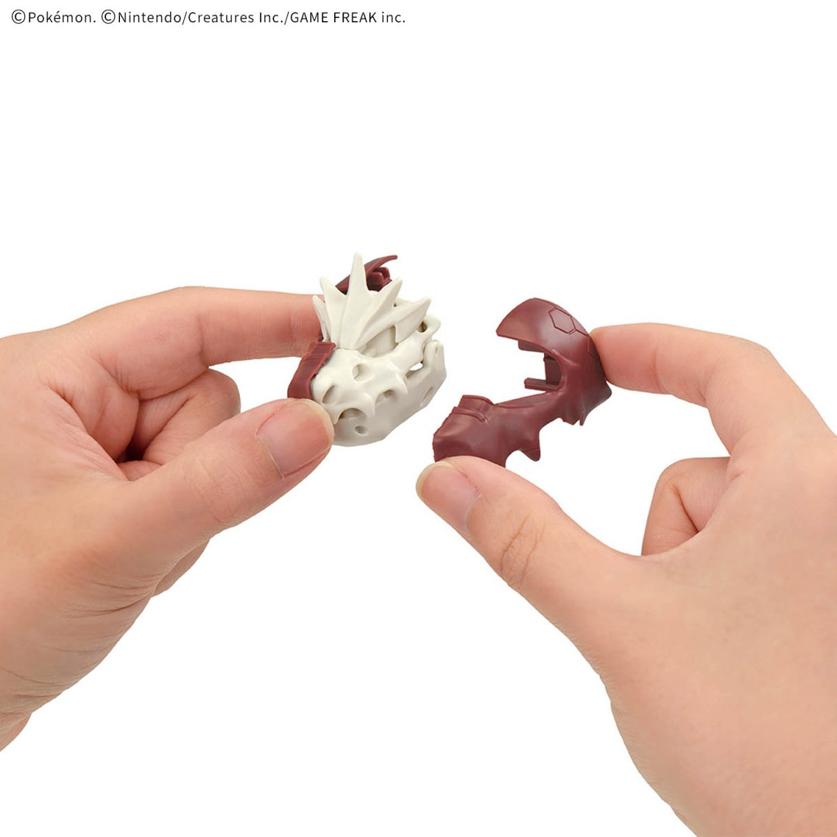 寶可夢模型收藏 化石寶可夢系列 恰吉羅斯